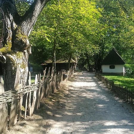 Apartmani Iva Banja Koviljaca Luaran gambar